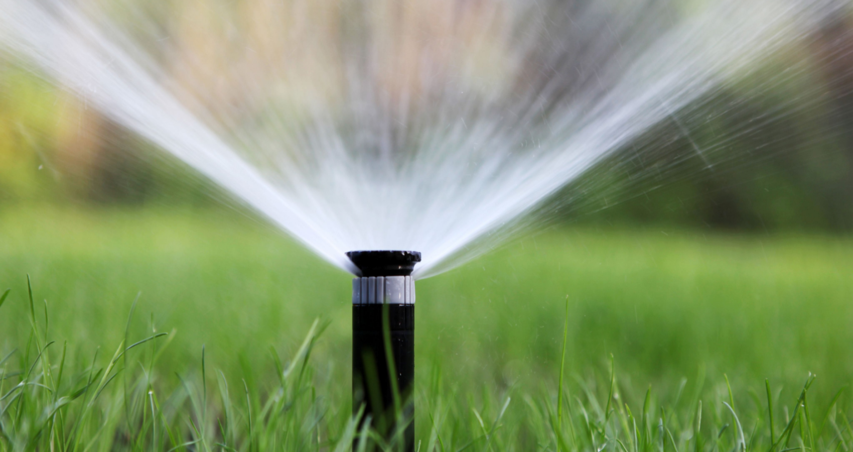 Sprinkler Start Up (Spring Only)